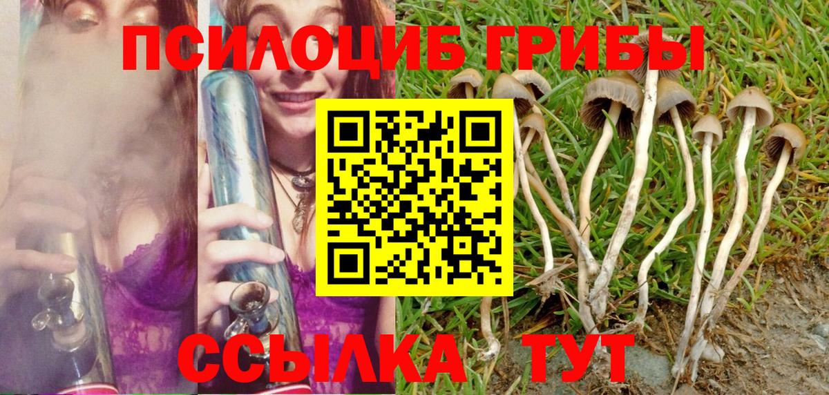 Калач-на-Дону  Галлюциногенные грибы ЛСД  закладки  Вход с VPN  Галлюциногенные грибы Cubensis 